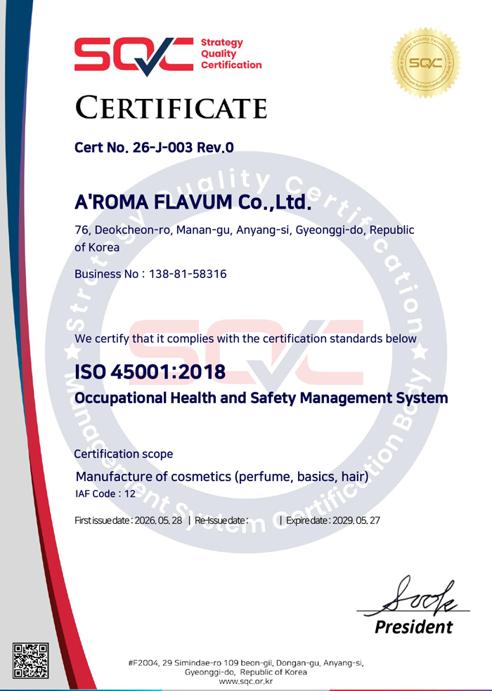 ISO 45001 Occupational Health and Safety Management Systems